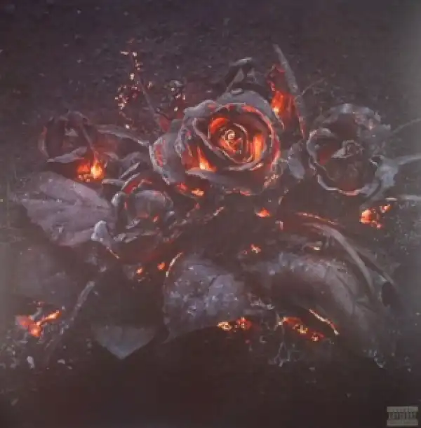 Future - Fly Shit Only